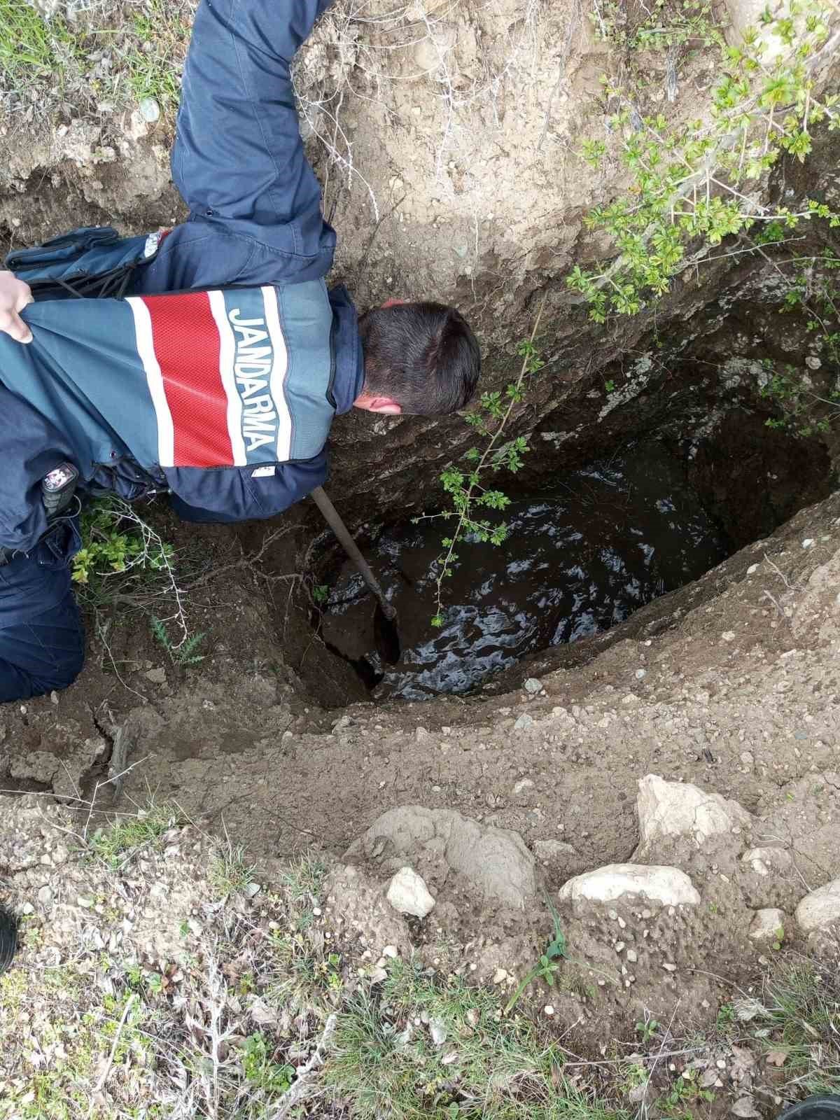 Su kuyusuna düşen şahin jandarma tarafından kurtarıldı