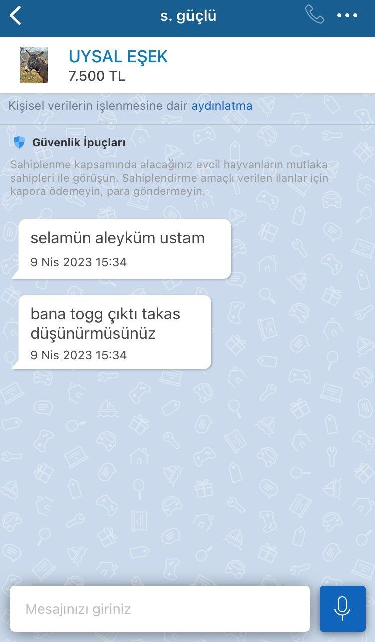 Pendik’te, internetten 7 bin 500 TL’ye satışa çıkarılan eşek ilgi odağı oldu