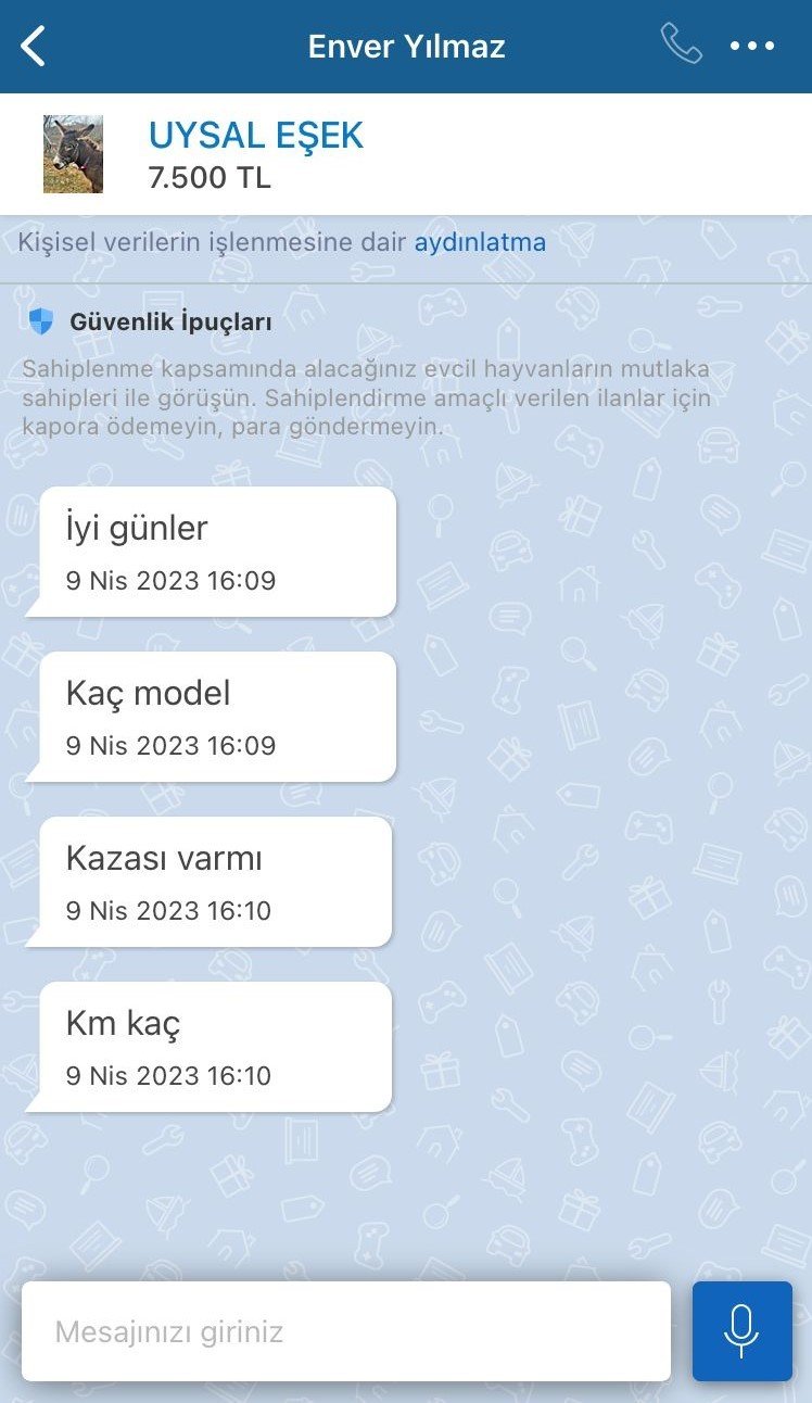 Pendik’te, internetten 7 bin 500 TL’ye satışa çıkarılan eşek ilgi odağı oldu
