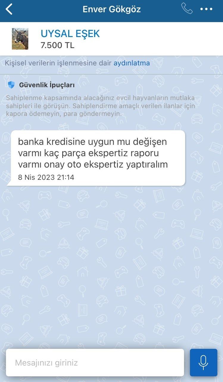Pendik’te, internetten 7 bin 500 TL’ye satışa çıkarılan eşek ilgi odağı oldu