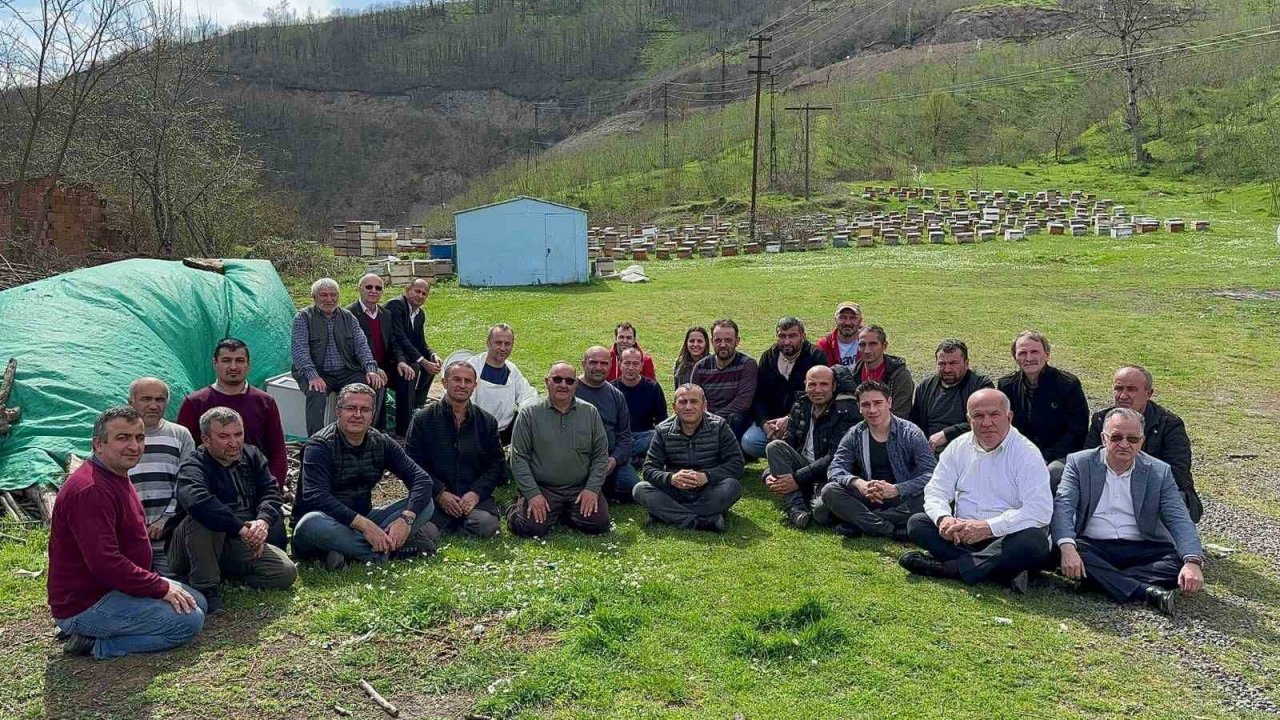 Ordu’da arıcılara ilaç desteği