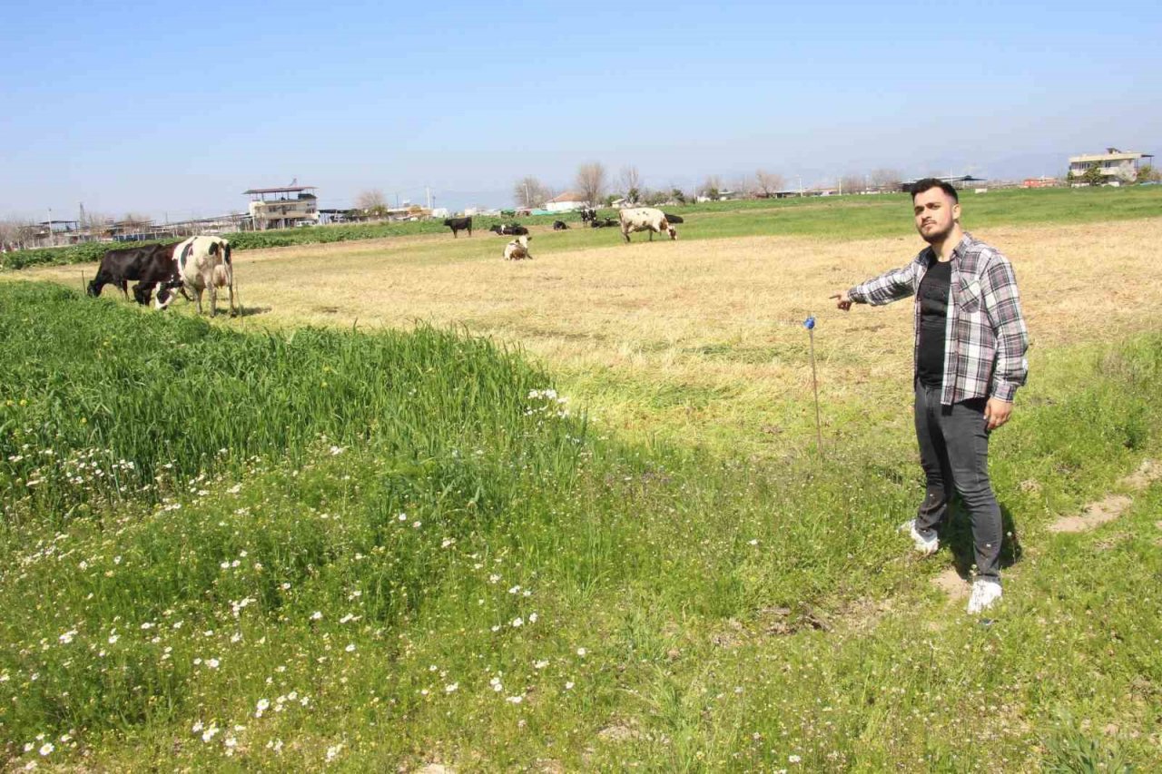 Teknoloji çobanları işsiz bırakıyor