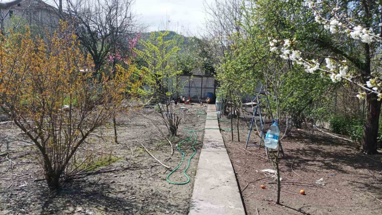 3 günde 23 tavuğu kayboldu, bahçesinde insan ayak izleri tespit edince suç duyurusunda bulundu