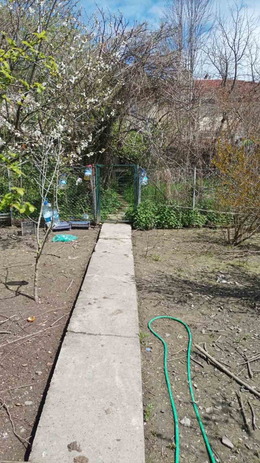 3 günde 23 tavuğu kayboldu, bahçesinde insan ayak izleri tespit edince suç duyurusunda bulundu