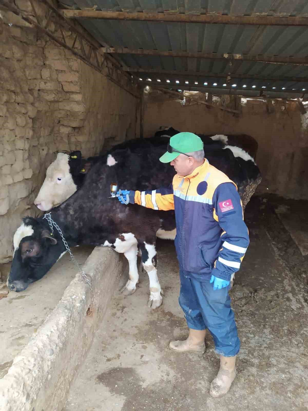 Dazkırı ve Kızılören’de ağaçlarda zararlı kontrolleri ve budama eğitimi yapıldı