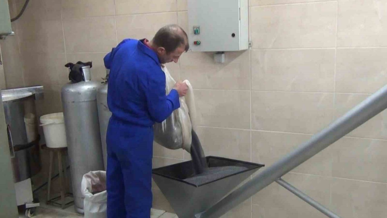 Afyonkarahisar’ın meşhur haşhaşı mutfaklarda yağ olarak kullanılıyor