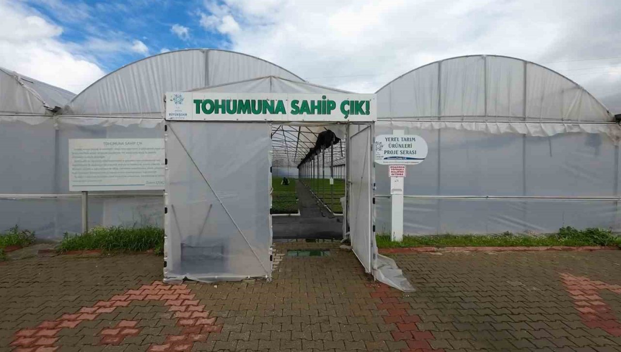 Aydın Büyükşehir Belediyesi ata tohumlarından fideleri vatandaşlarla buluşturuyor