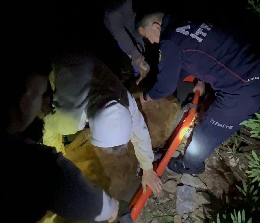 Aydın’da itfaiye ekiplerinden büyükbaş hayvan kurtarma operasyonu