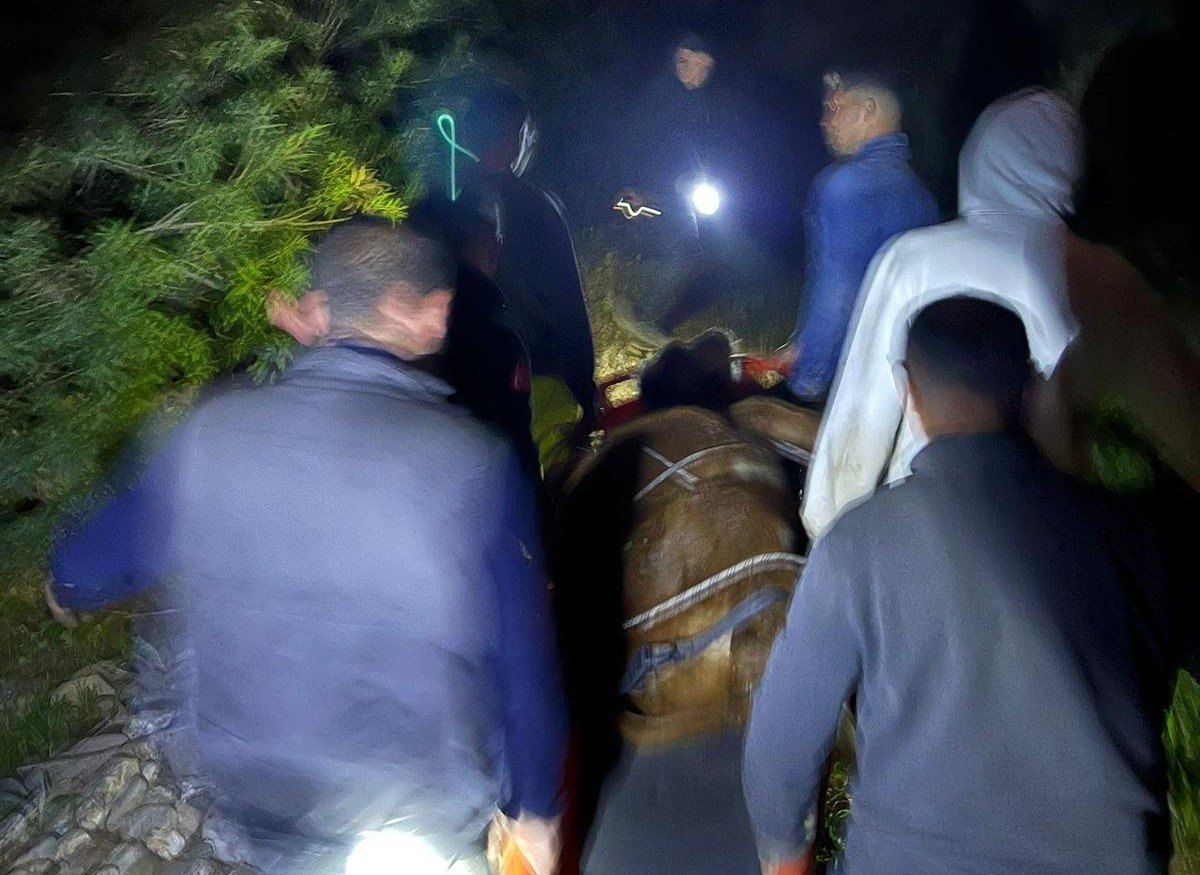 Aydın’da itfaiye ekiplerinden büyükbaş hayvan kurtarma operasyonu