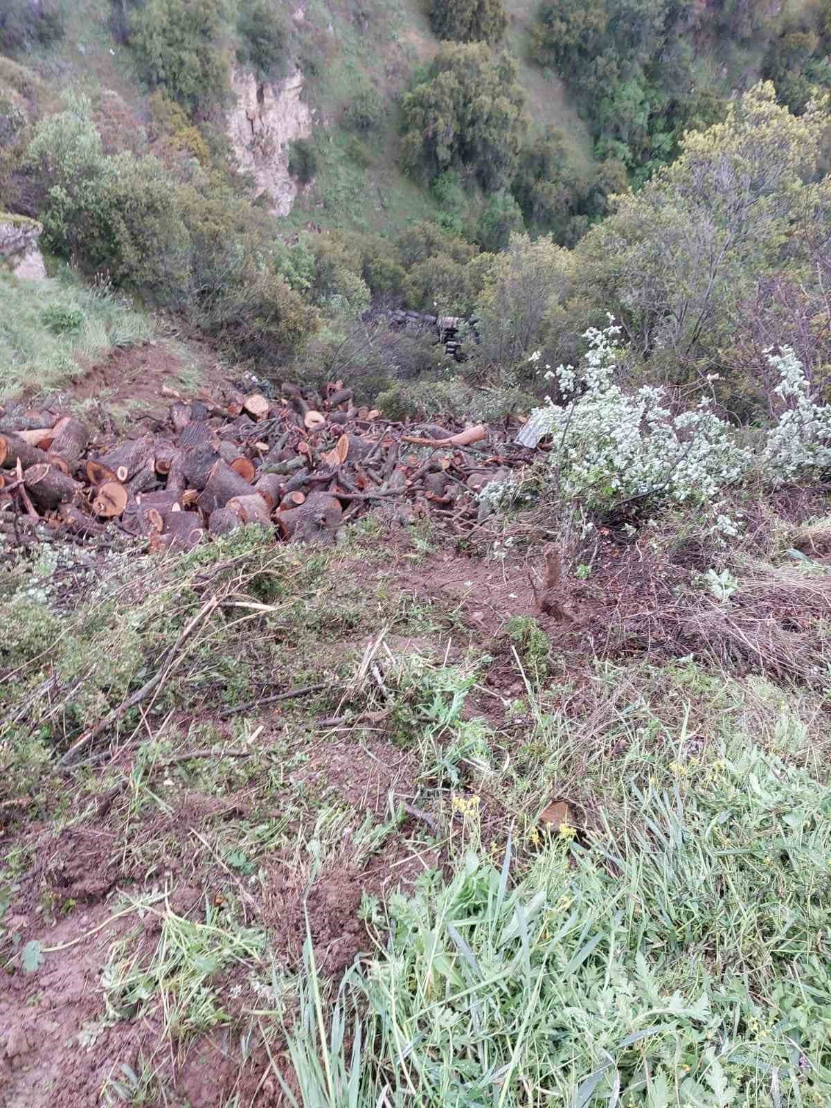 Kamyon dereye devrildi: 1 yaralı