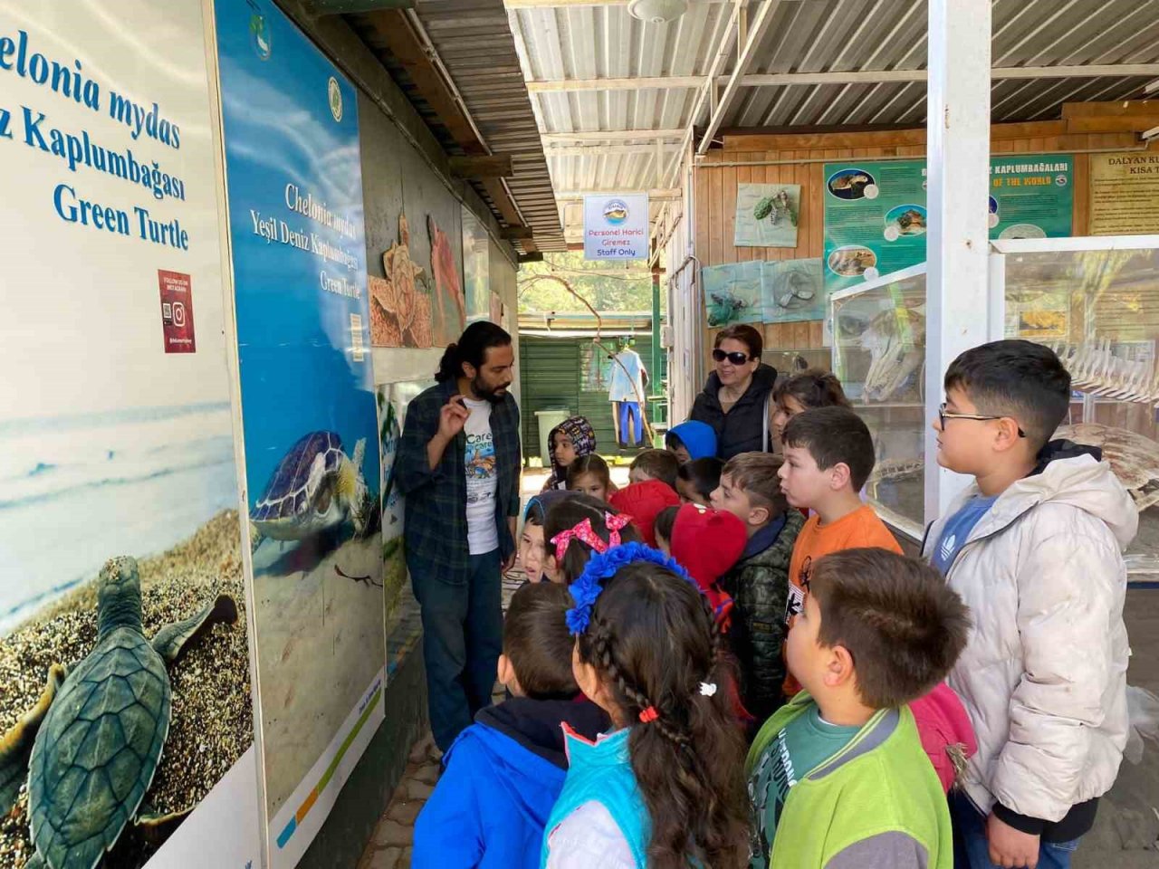 ’Kaplumbağa Muhafızları’ iş başında