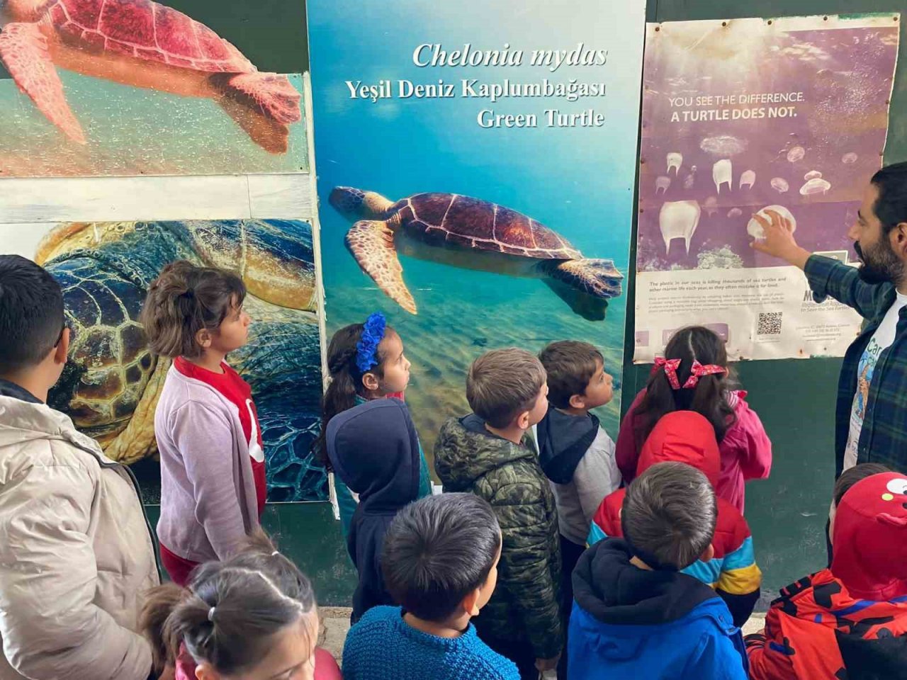 ’Kaplumbağa Muhafızları’ iş başında