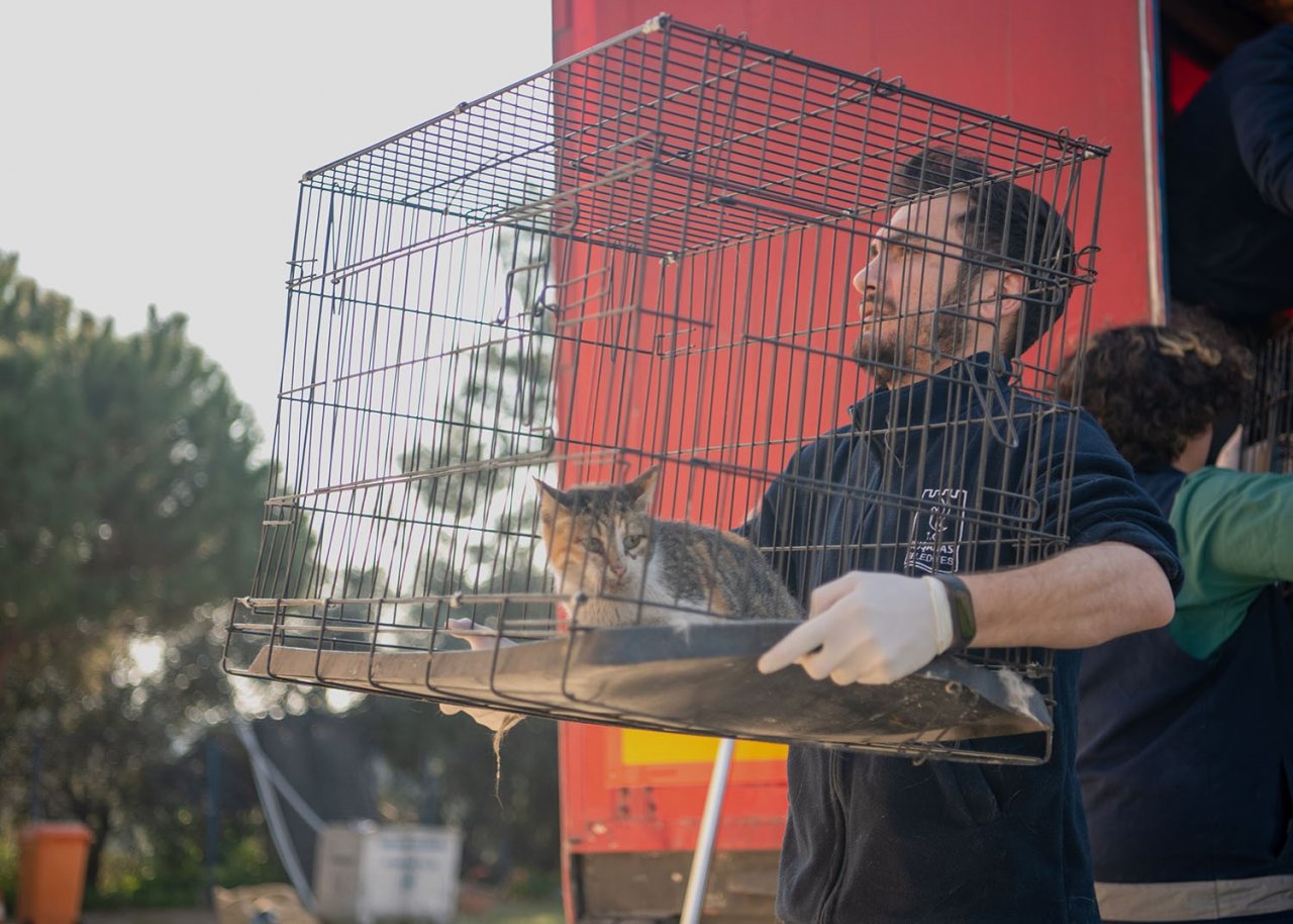 Kuşadası’nda patili dostlar emin ellerde