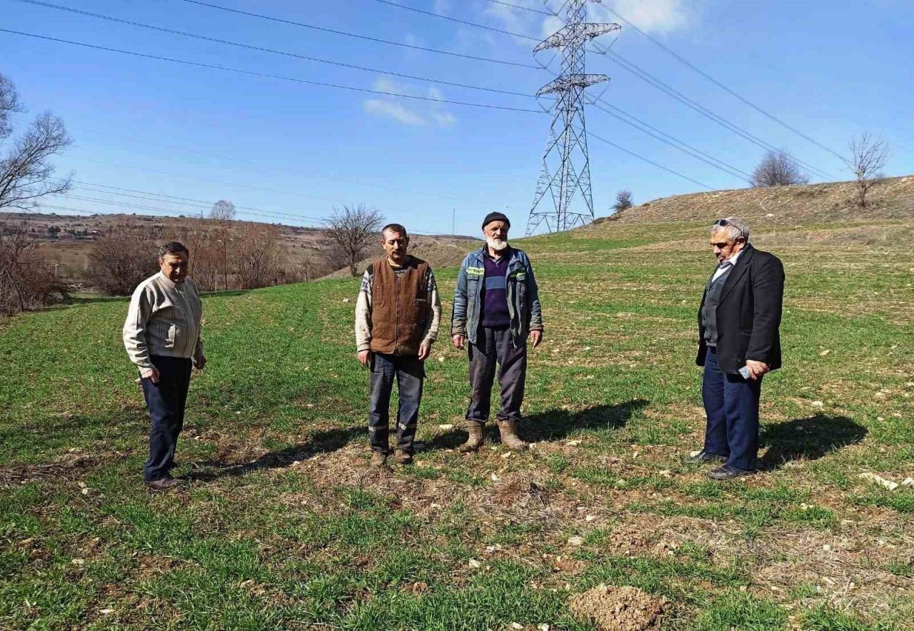 Kütahya’da sertifikalı buğday ve arpa tohumlarının arazide çıkış kontrolleri