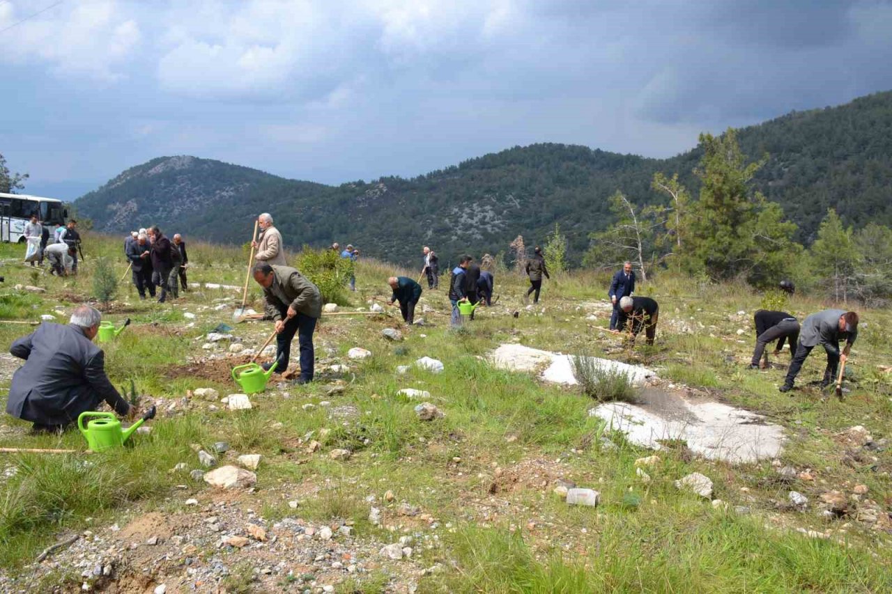 Yanan alanı muhtarlar yeniden yeşillendirecek