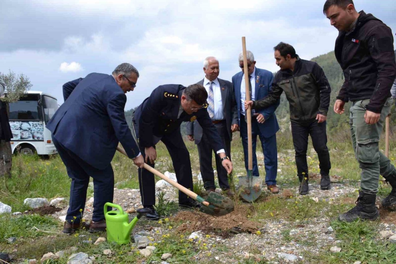 Yanan alanı muhtarlar yeniden yeşillendirecek