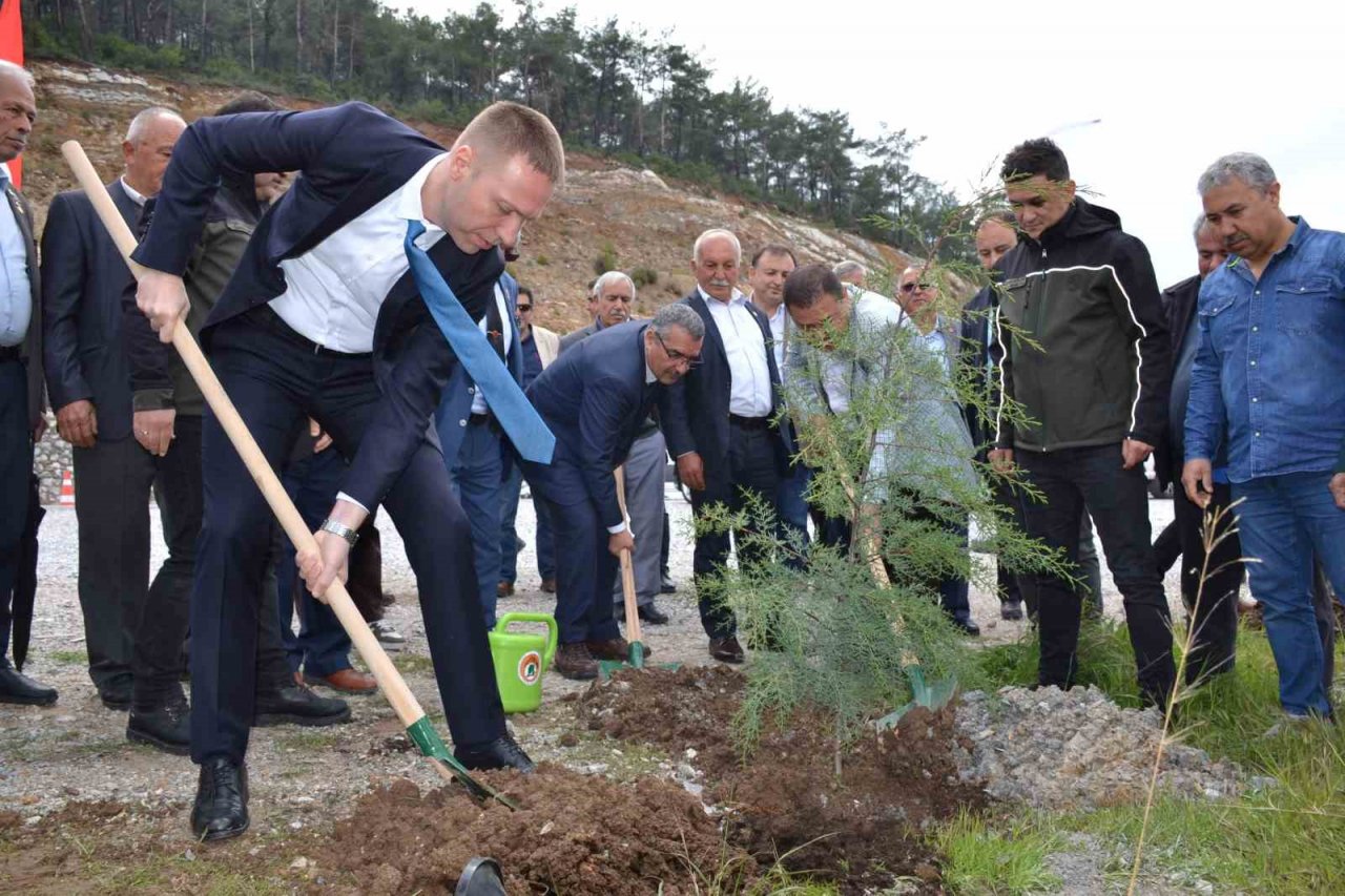 Yanan alanı muhtarlar yeniden yeşillendirecek