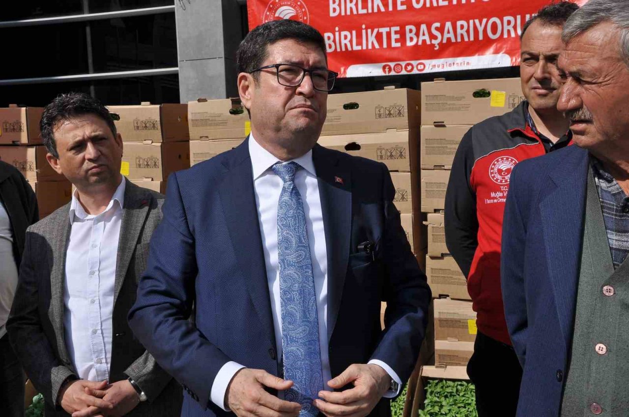 Muğla’da 450 üreticiye 800 bin yerli fide dağıtıldı