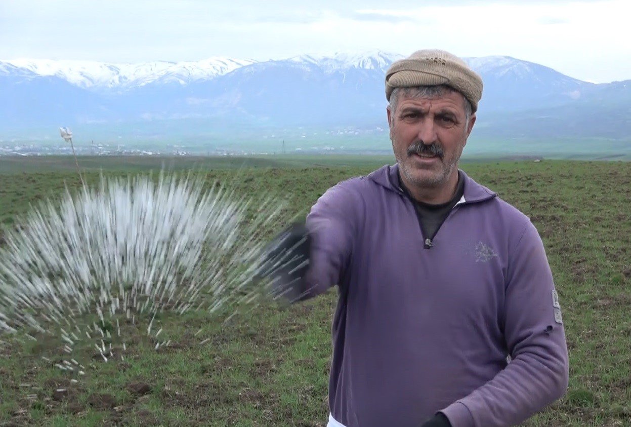 Muş Ovası’ndaki buğday tarlaları gübreleniyor