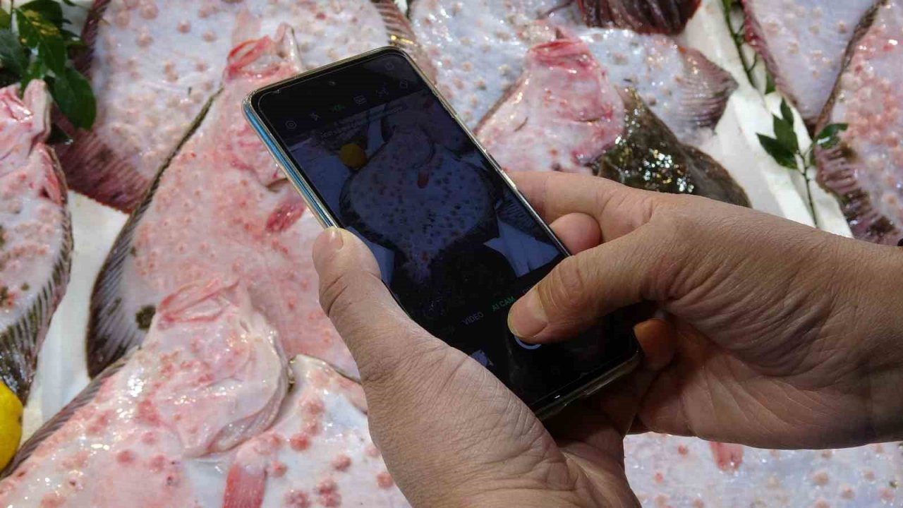 Karadeniz’de kalkan bolluğu: Kilosu 600 liradan satılıyor