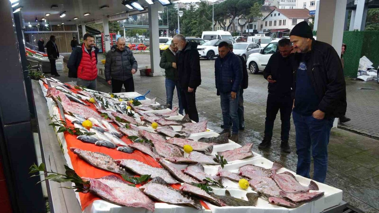Karadeniz’de kalkan bolluğu: Kilosu 600 liradan satılıyor