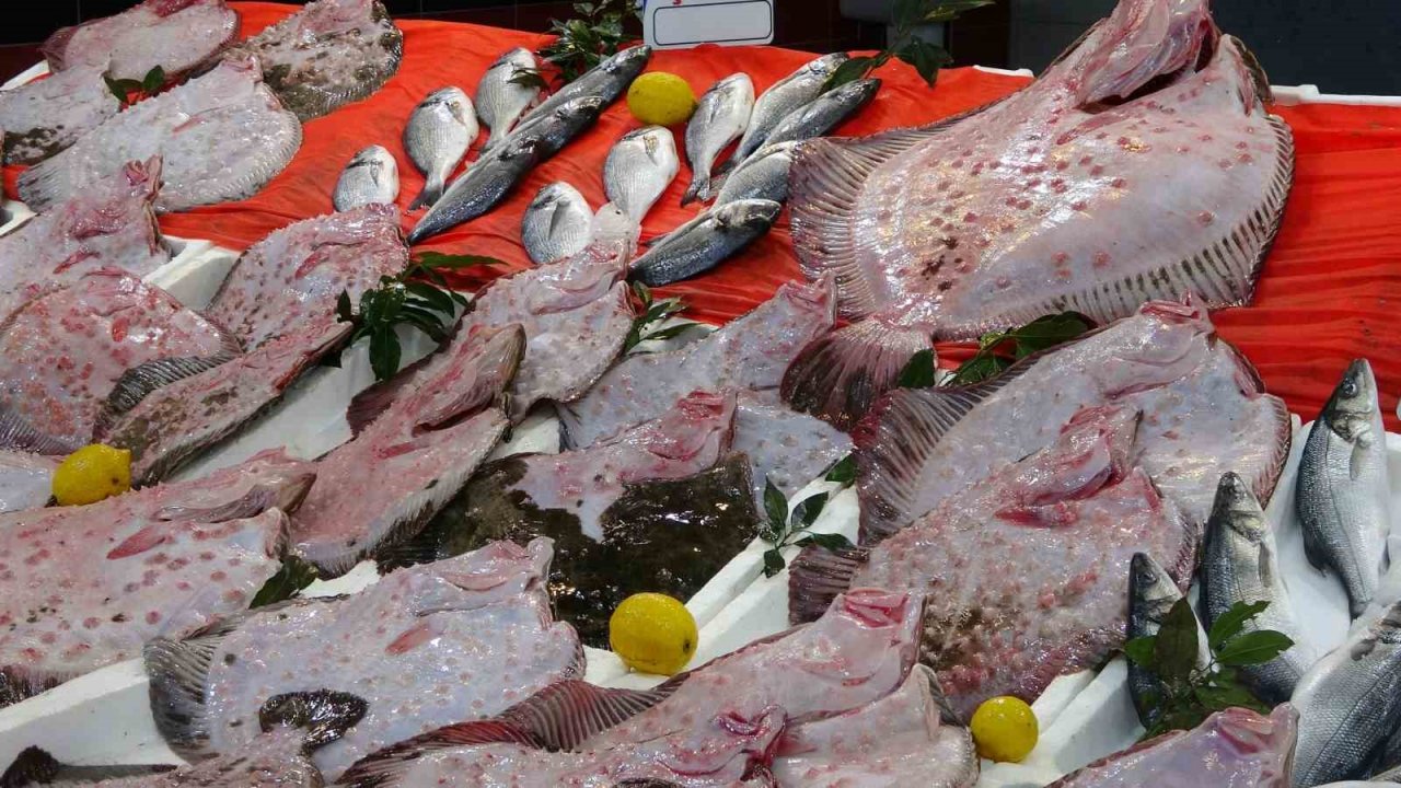 Karadeniz’de kalkan bolluğu: Kilosu 600 liradan satılıyor