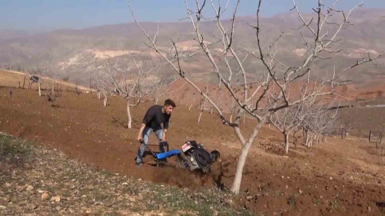 Siirt’te yağışlar çiftçinin yüzünü güldürdü: Ürünlerde rekolte kırılması bekleniyor