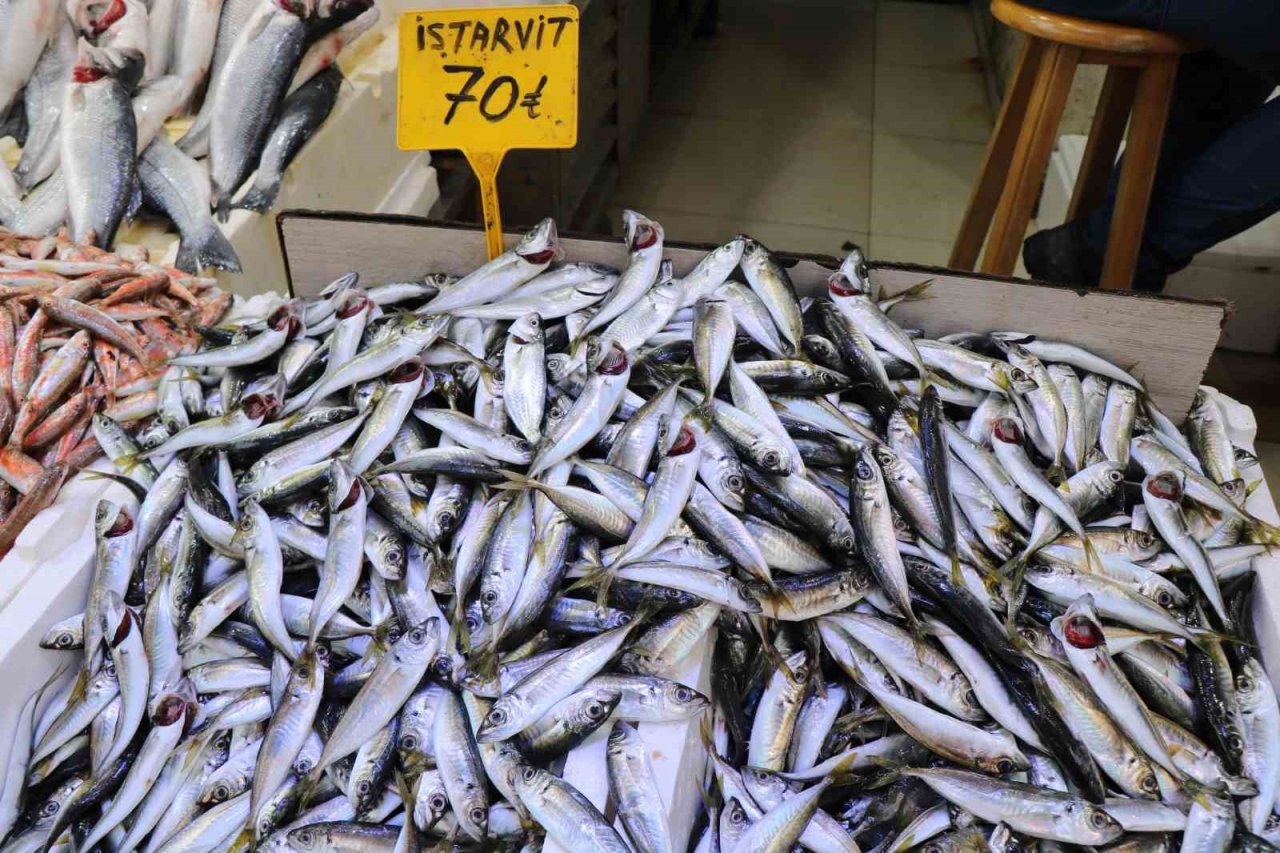 Sezonun son balıklarına yoğun ilgi