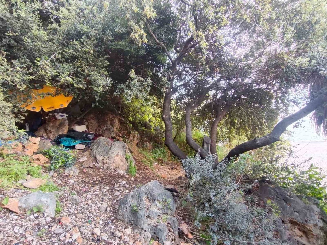 Çalılık alanda bir şahıs ölü bulundu