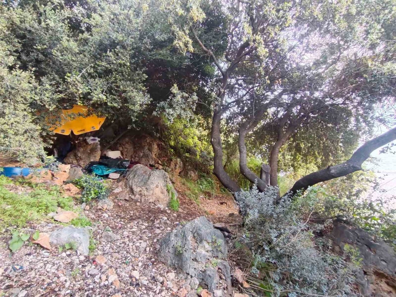 Çalılık alanda bir şahıs ölü bulundu