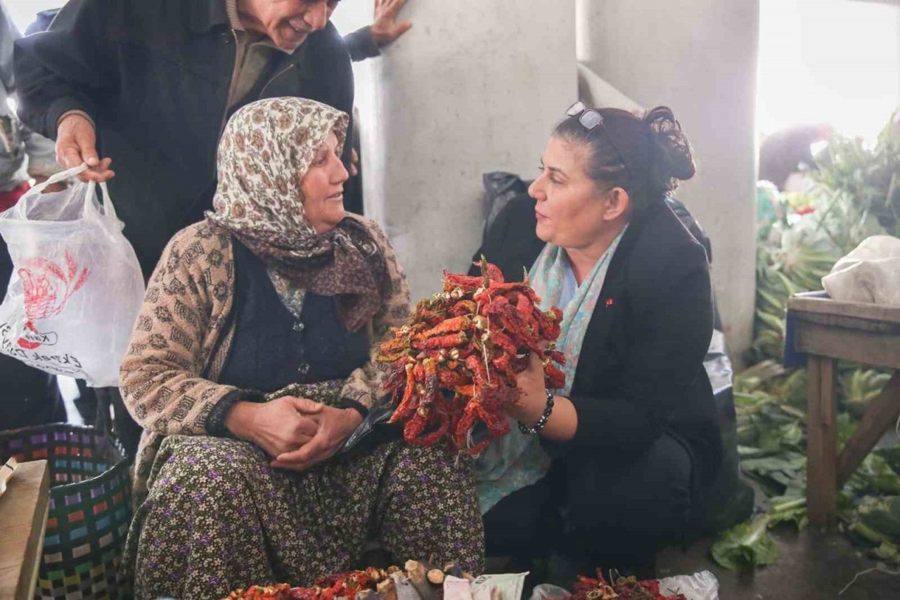 Başkan Çerçioğlu, Yenipazar’da yerel fide dağıtımı yaptı