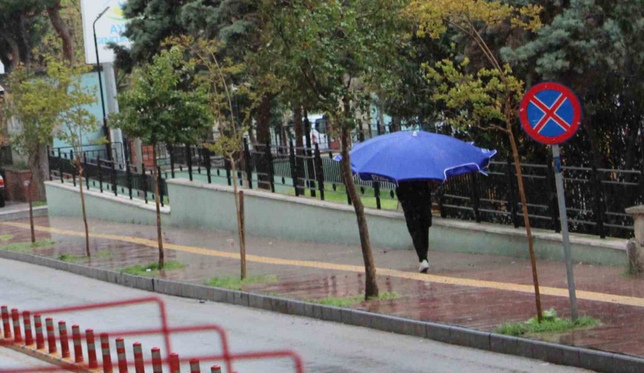 Aydın’da gülümseten kare