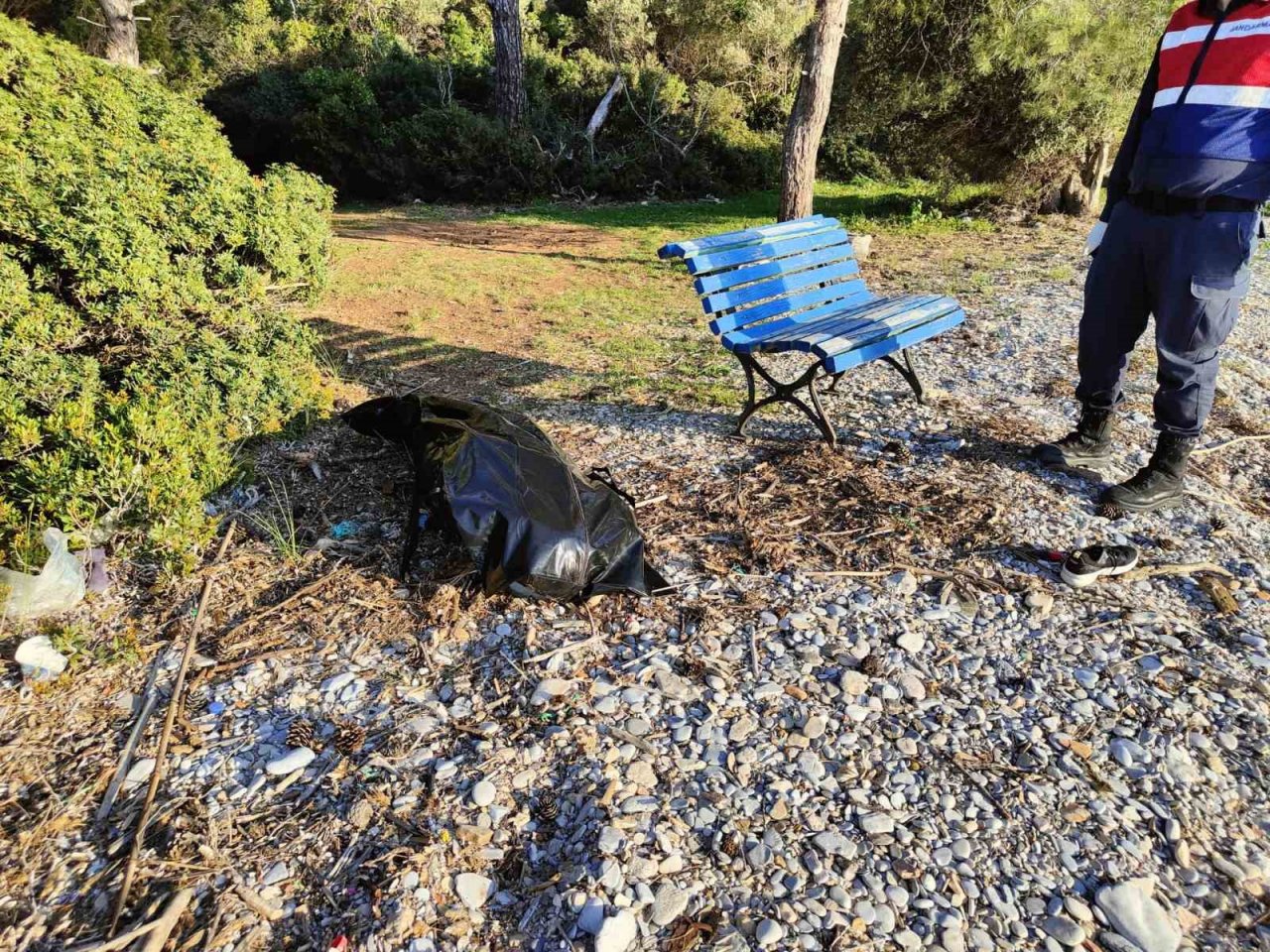 Kuşadası’nda kıyıya baş, kol ve bacakları olmayan 2 erkek cesedi vurdu