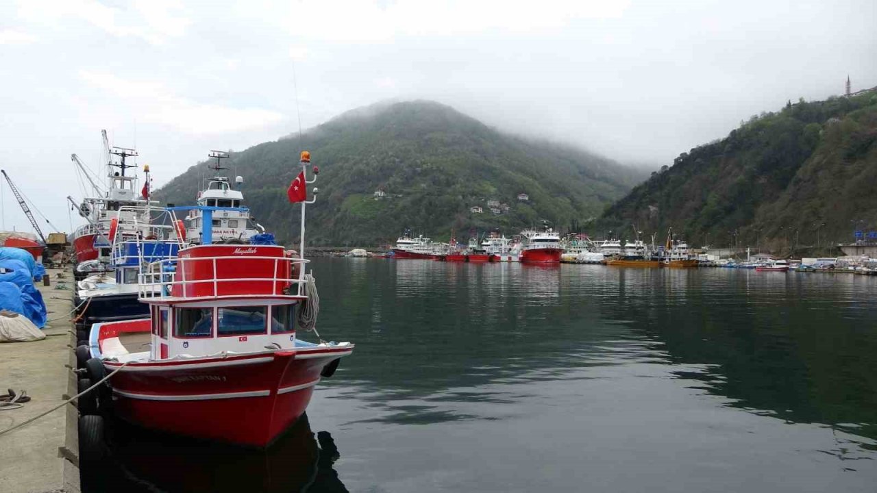 Denizlerde av yasağı 15 Nisan’da başlayacak