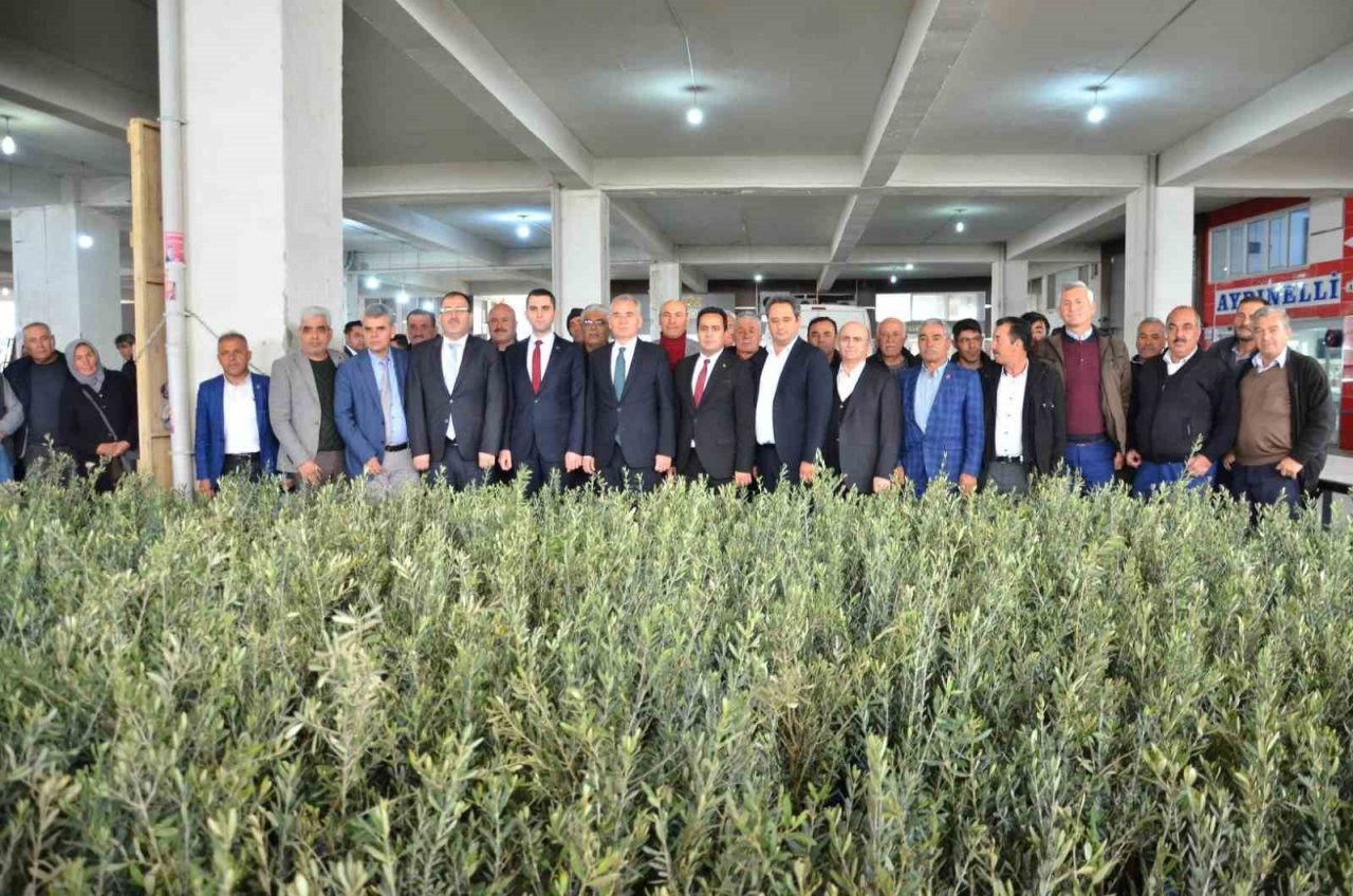 Denizli’de 573 çiftçiye 45 bin adet zeytin fidanı dağıtılıyor