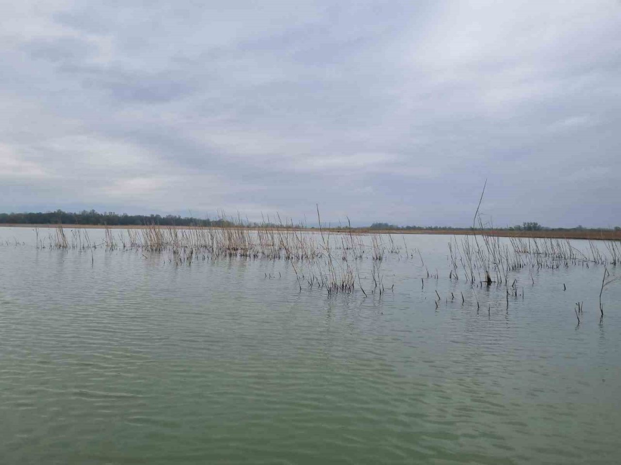 Kaçak avcıların kasnaklarına el konuldu