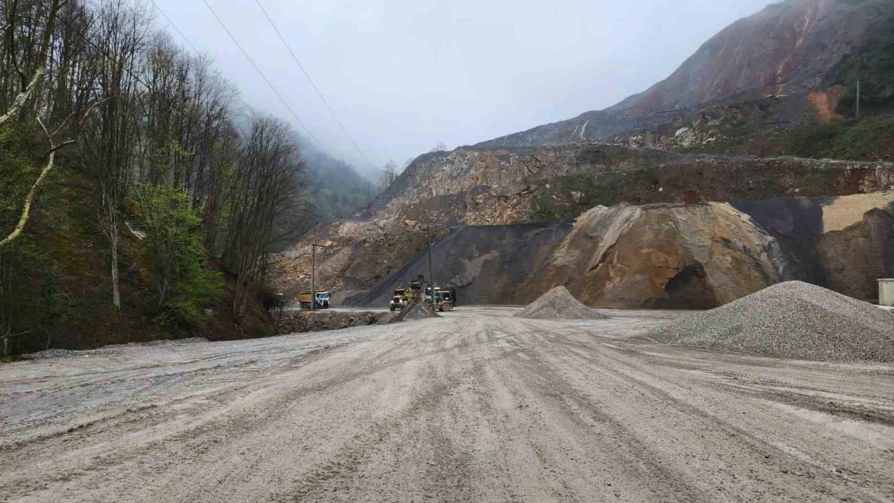 Bu yıl ki hedef 450 bin ton