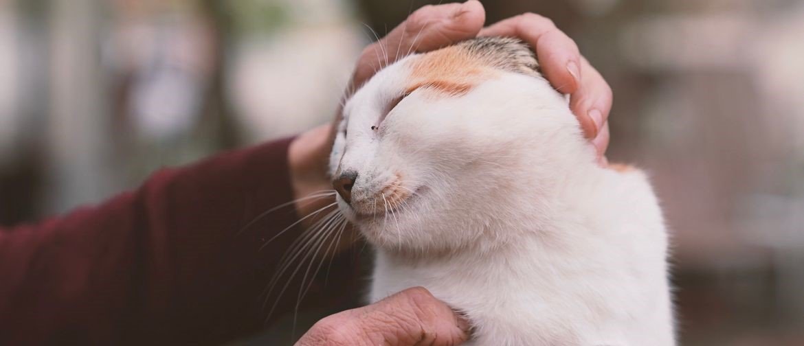 Gürsu’nun yaramaz ’Karahıdır’ı