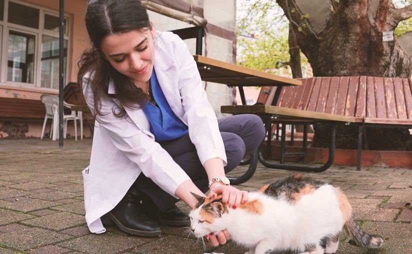 Gürsu’nun yaramaz ’Karahıdır’ı