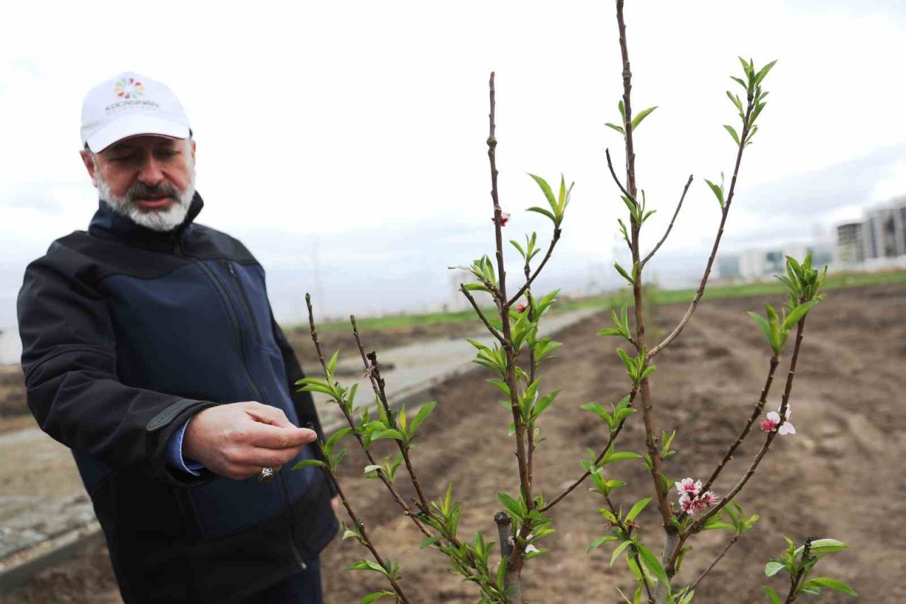 Başkan Çolakbayrakdar’dan Kayseri’de yine ilk olan Meyve Bahçeli Park Projesi