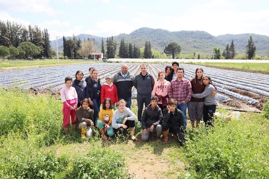 Köyceğiz’de öğrenciler çilek yetiştiriciliğine başladı