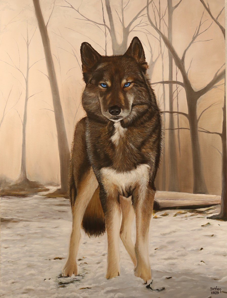 Doğanın renkleri AKSM’de