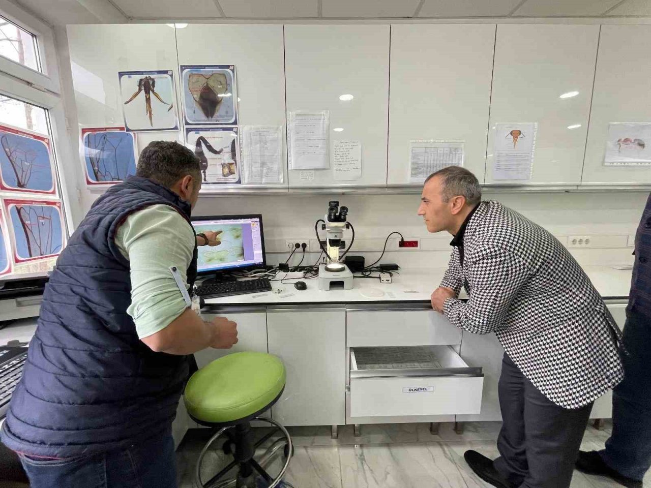 Ordu’da seralara bombus arısı dopingi