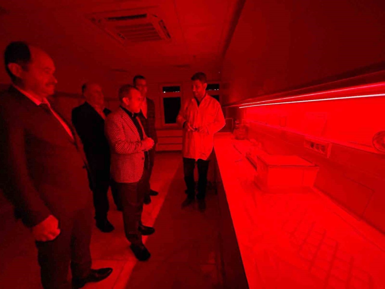 Ordu’da seralara bombus arısı dopingi