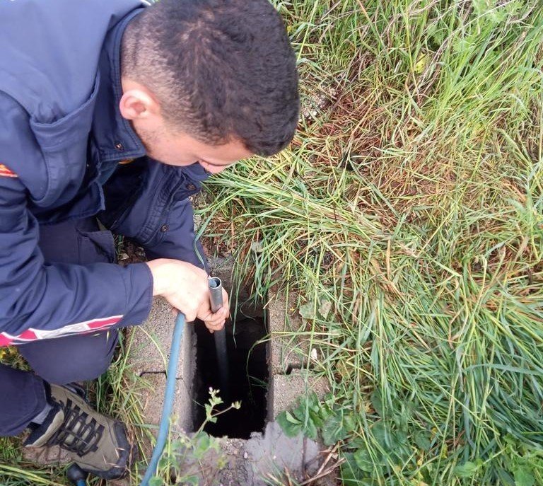 Osmaniye’de kuyuya düşen 4 yavru köpeği, itfaiye ekipleri kurtardı