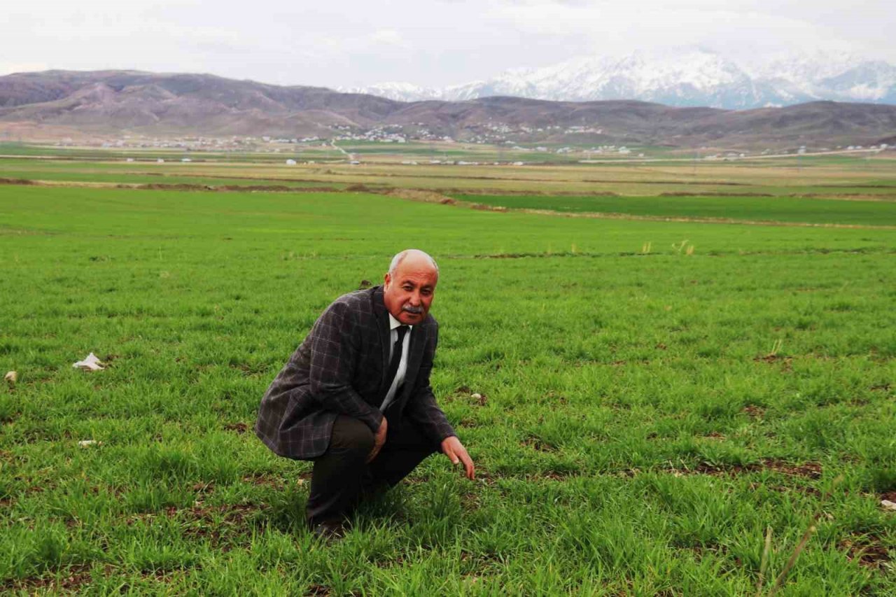 Mart-nisan yağmurları çiftçinin yüzünü güldürdü