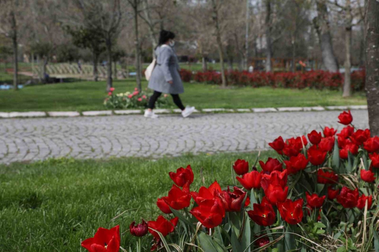 Kağıthane’de lale mevsimi başladı