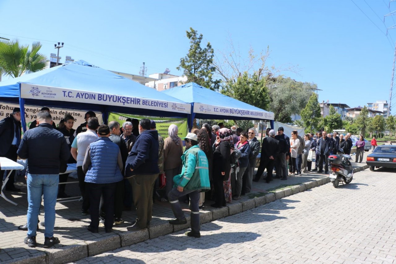 Başkan Çerçioğlu Nazilli’de fide dağıttı