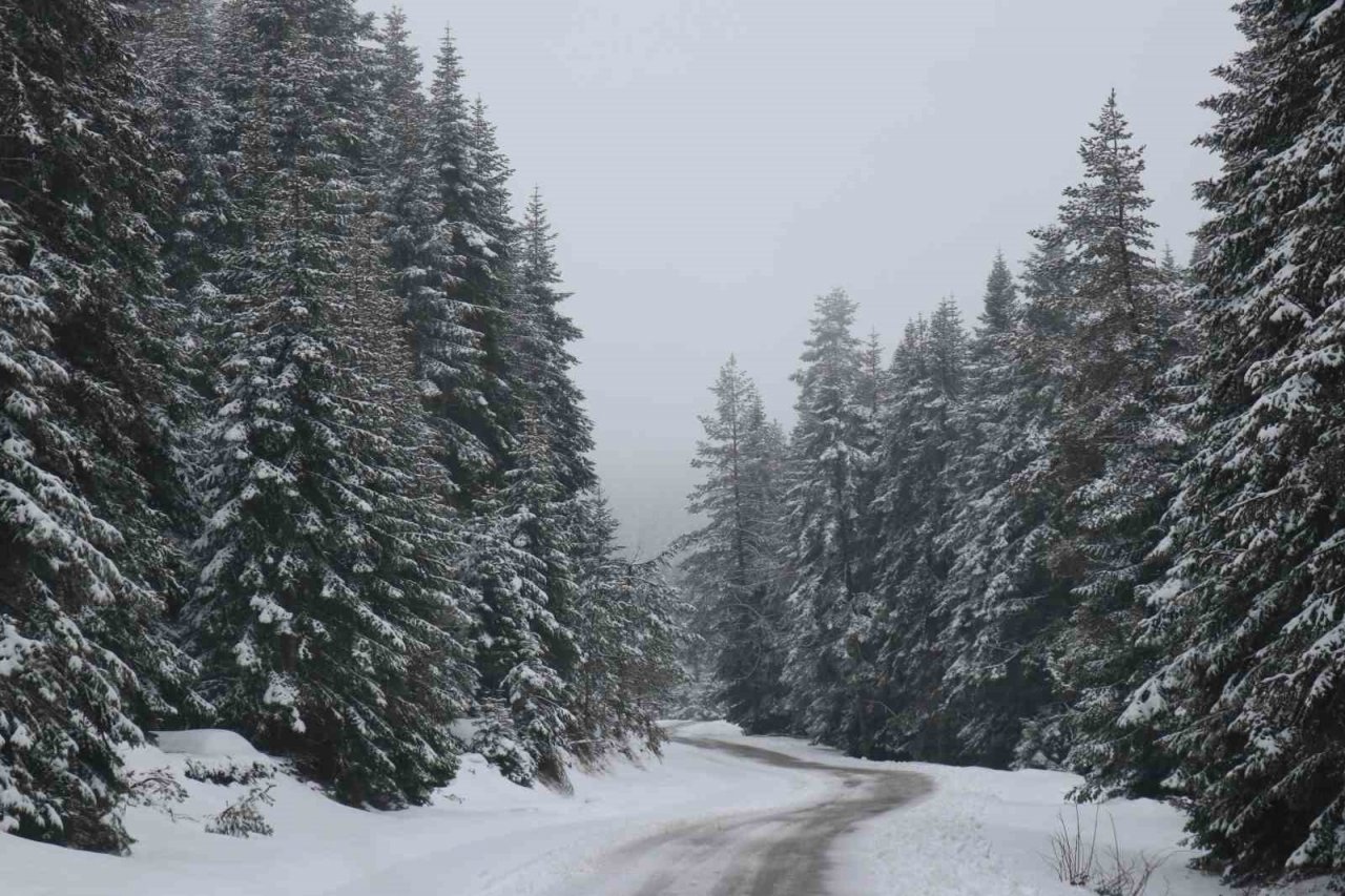 Bolu’da Nisan ayında kar sürprizi