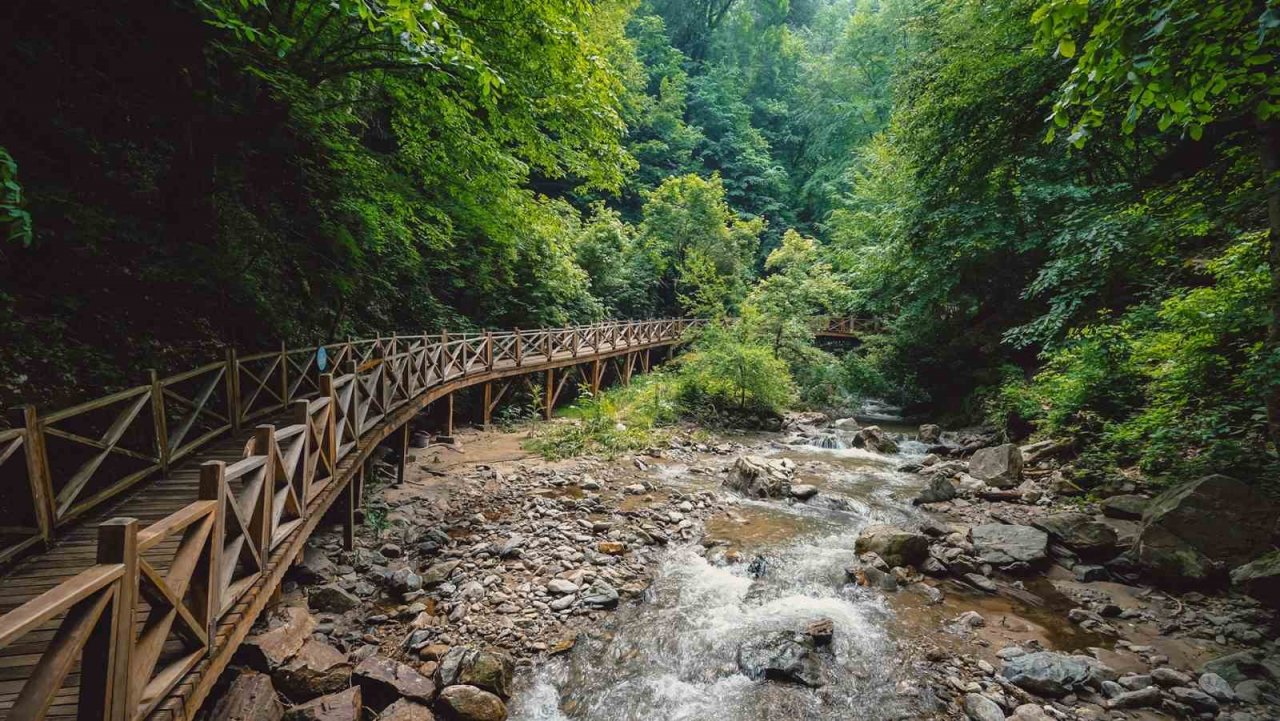 Avrupa’da bulamadığı şifayı Oylat’ta buldu